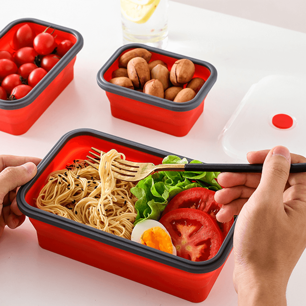 Zero Waste Lunch Boxes - Set 4 Portable Reusable Folding Boxes