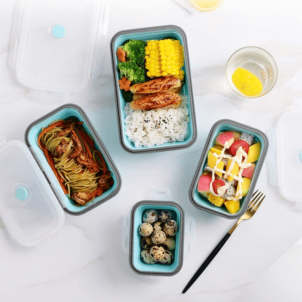 Zero Waste Lunch Boxes - Set 4 Portable Reusable Folding Boxes