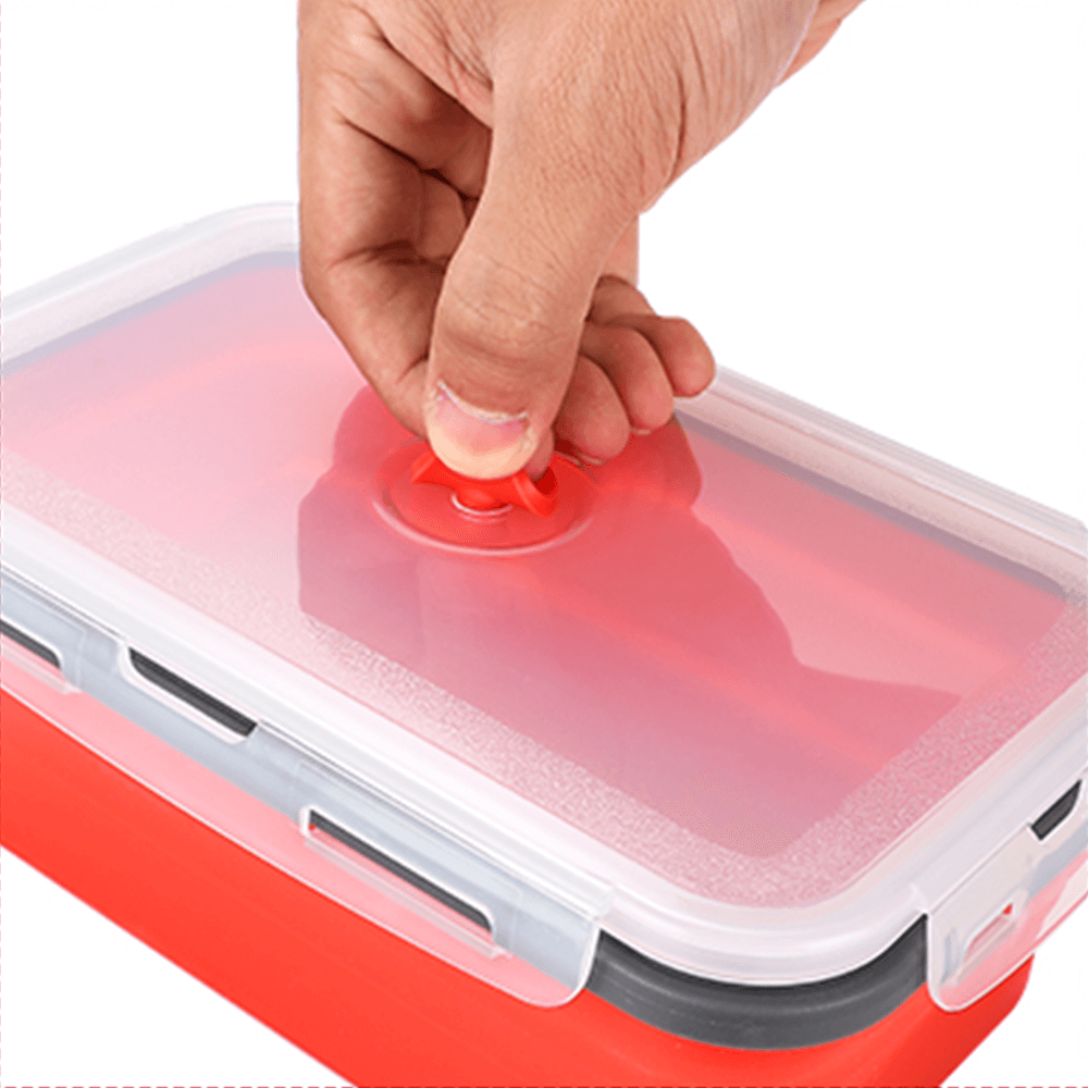 Reusable Folding Lunchbox: Space Saving, Non-toxic, Eco-Friendly – Exult  Planet