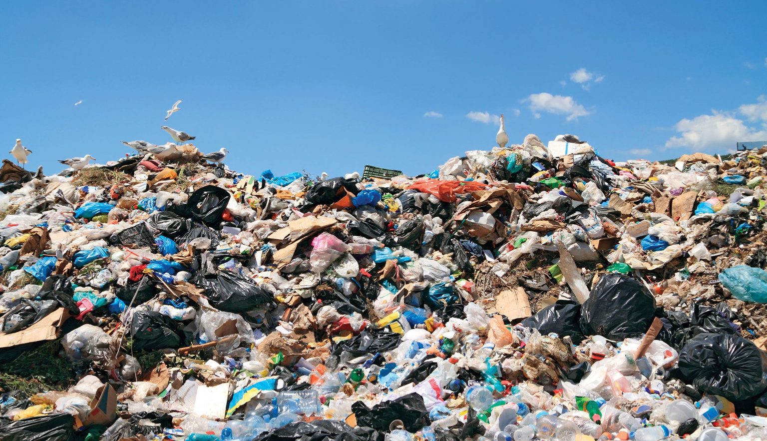 5 Benefits Of Secondhand Clothing For The Environment