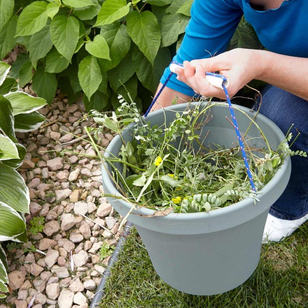 ZERO WASTE INITIATIVE - ZEROWASTEINITIATIVE.COM 6 BASIC TIPS FOR ZERO WASTE GARDENING 7