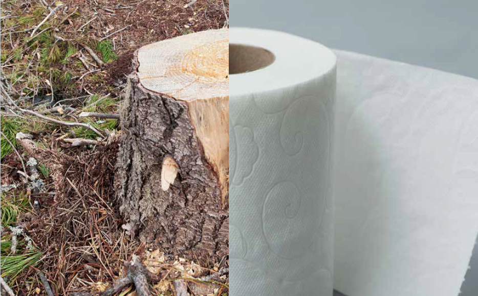 4-zero-waste-alternatives-to-toilet-paper