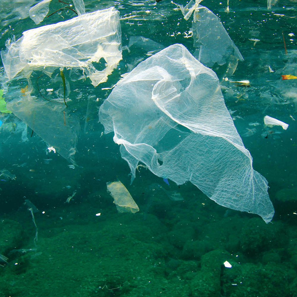 PLASTIC POLLUTION