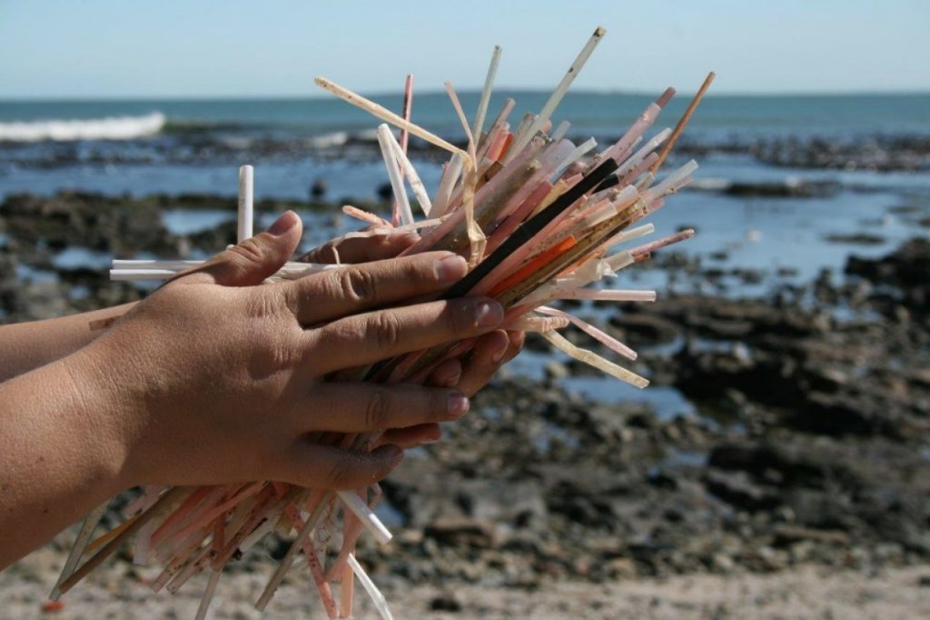 Why are plastic straws banned when they're only a small part of plastic  use? •