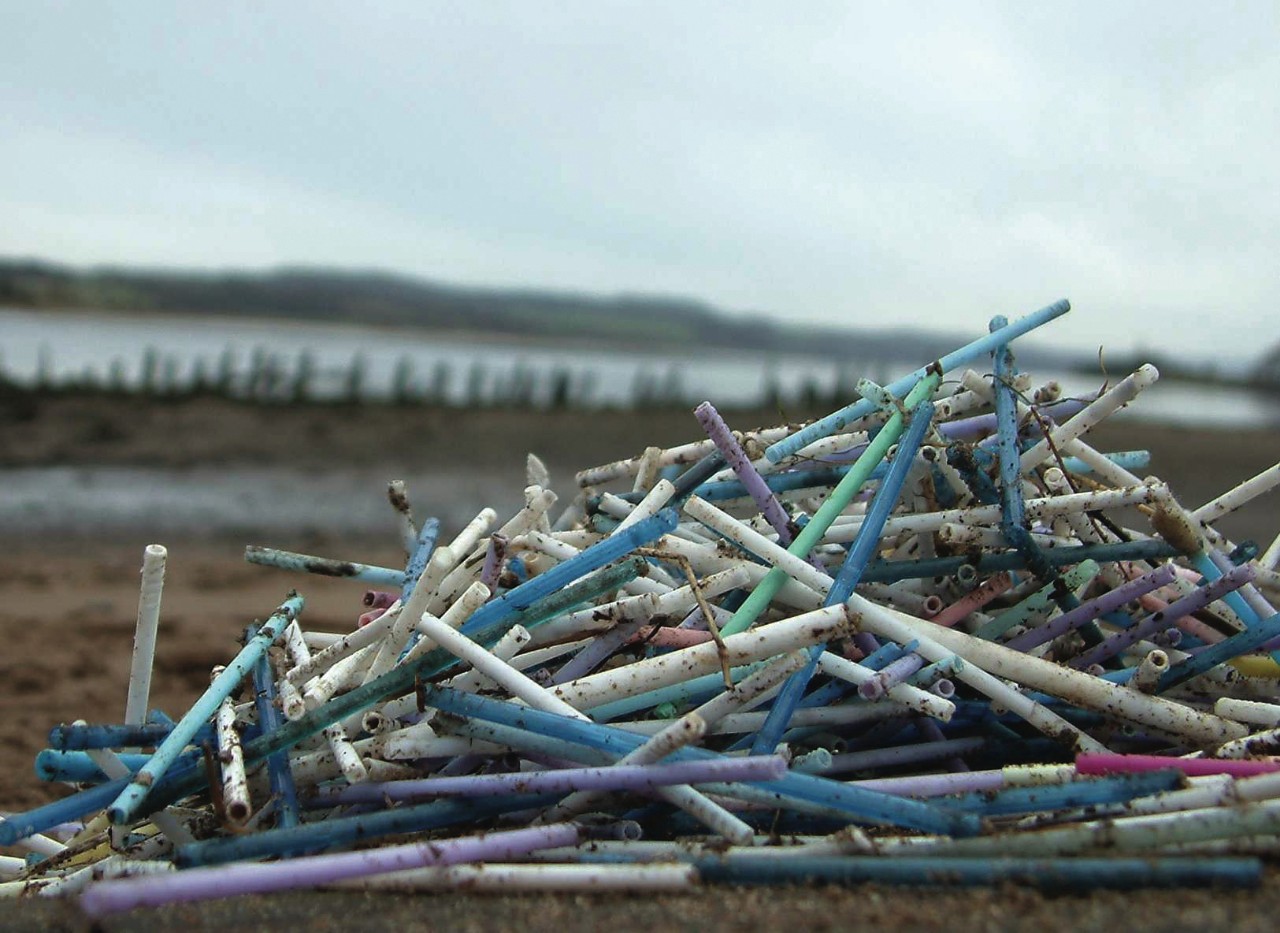 plastic-straws-3-reasons-why-they-should-be-banned