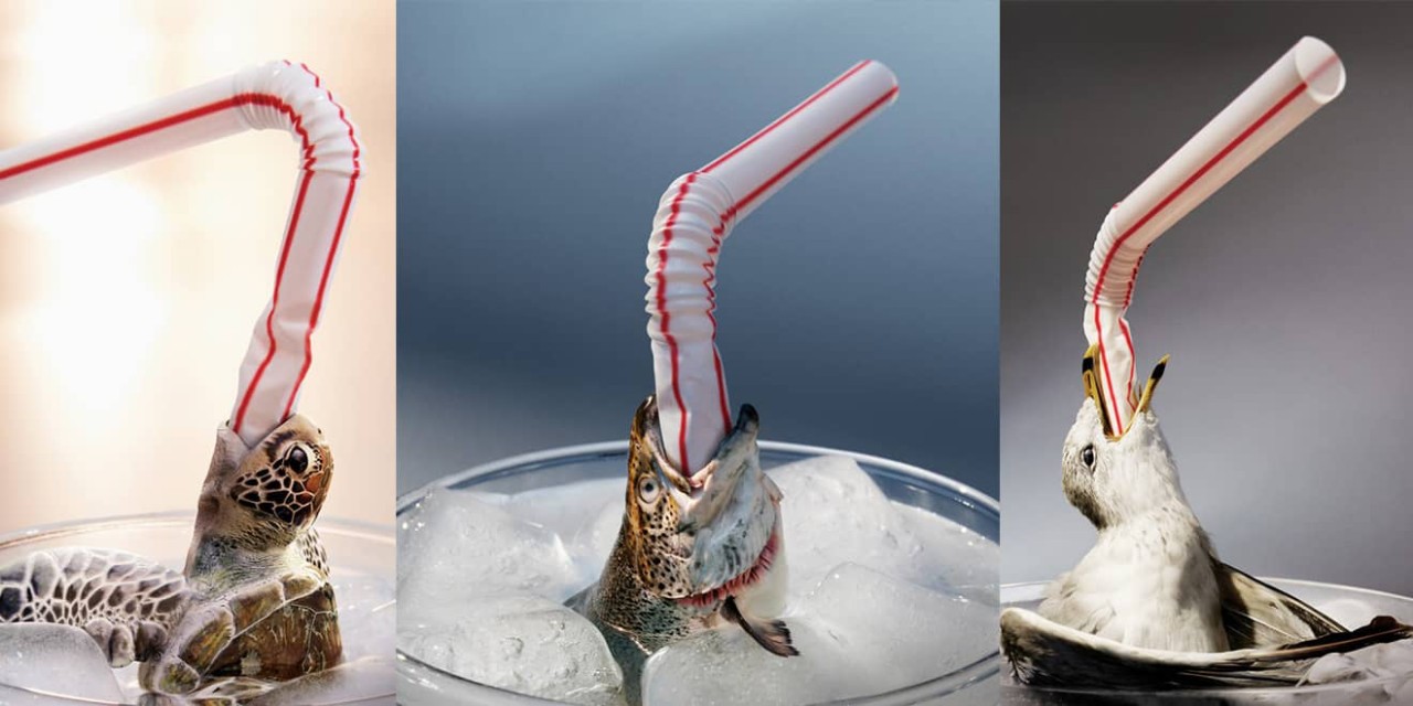 8 Reasons Reusable Glass Straws are Better than Plastic – Our