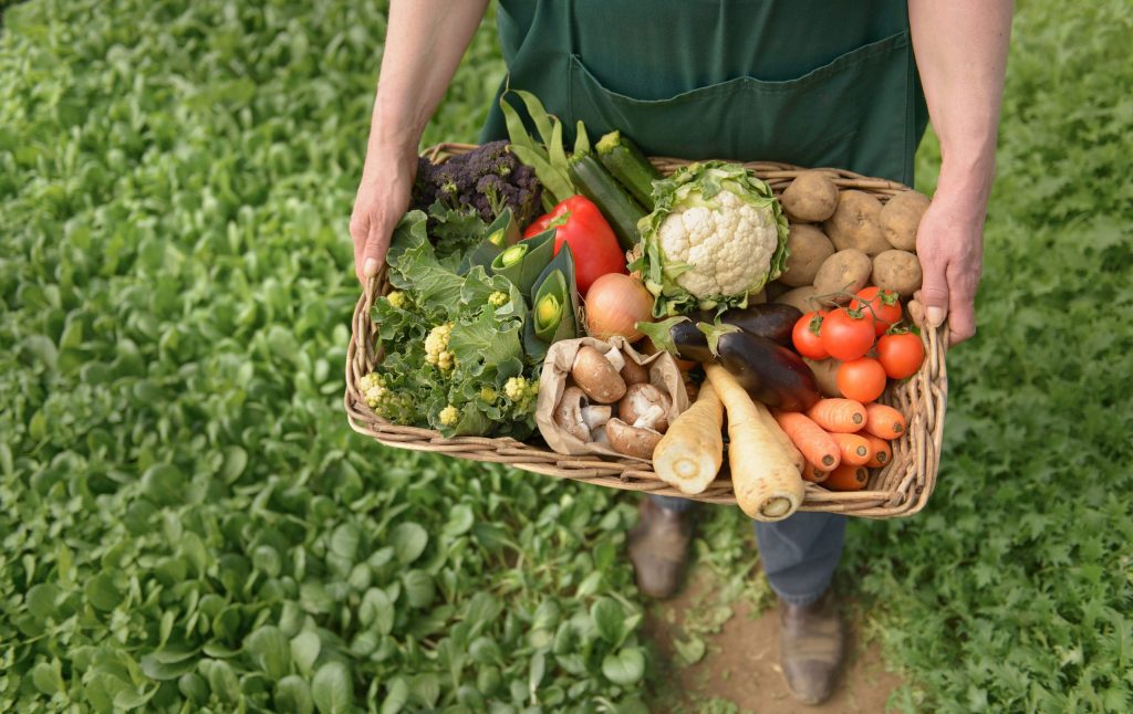 Zero Waste Initiative - zerowasteinitiative.com Organic Food: 4 Reasons Why They Are Better For Your Health 5
